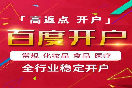 SEM推广公司成功案例：助力企业实现品牌多元化发展